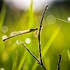 1/400s , F6.3 , ISO 100